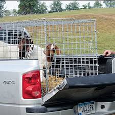 Pickup Haulers Homesteading Animals Dog Box For Truck Dog Box