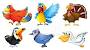 Type Clipart