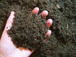 We did not find results for: How Much Does A Yard Of Topsoil Weigh In 2021 A Nest With A Yard