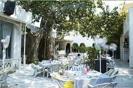 Owner and operator of a chain of fine dining restaurants in india. Olive Bar And Kitchen Restaurant Delhi Find Nearby Me