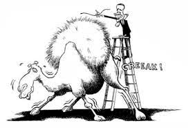 The straw which broke the camel's back — la gota que colmó el vaso. Mt Idiomes It S The Last Straw That Breaks The Camel S Facebook