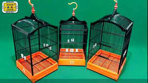 Hal ini bisa membuat kepercayaan burung kutilang tersebut semakin. Sangkar Burung Yang Bisa Membuat Burung Lebih Nyaman