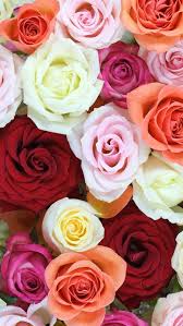 Red Flowers Wallpaper Live Android Apps On Google Play Red Flower Wallpaper Flower Wallpaper Red Flowers