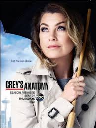 Grey's Anatomy (12.ª temporada)