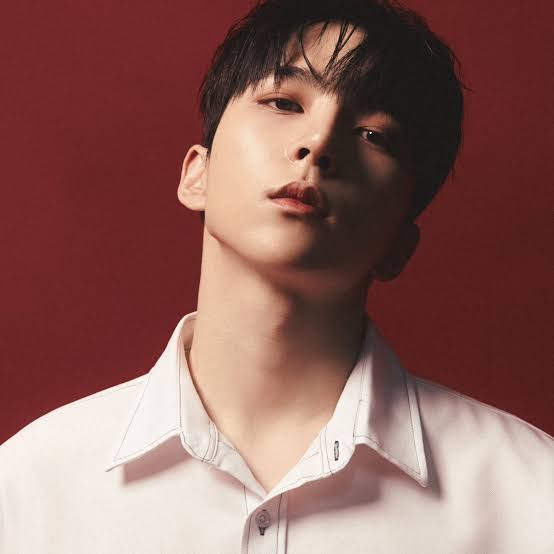Minhyuk — Kpop Idol Profile | kpopping
