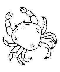 This crab coloring pages will helps kids to focus while developing creativity, motor skills and color recognition. Free King Crab Sea Animals Coloring Page Download Print Online Coloring Pages For Free Animal Coloring Pages Monster Coloring Pages Fish Coloring Page