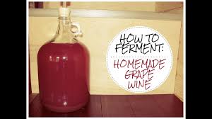 wild fermented homemade g wine