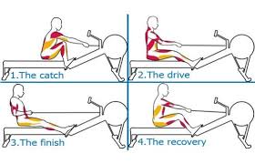 Rowing Technique And Muscle Groups Rowingmachine Rower Rowingtips Rowing Workout Rowing Technique Rower Workout