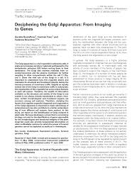 Pdf Deciphering The Golgi Apparatus From Imaging To Genes