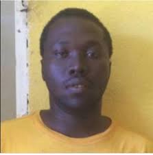 Hubert Taylor, charged for murder, pleads guilty to the charge of  manslaughter A case of murder has ended in the prosecution accepting a  guilty plea