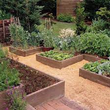 Grow A Vegetable Garden In Raised Beds Building A Raised Garden Raised Garden Garden Beds