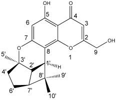 Image result for Ptaeroxylon