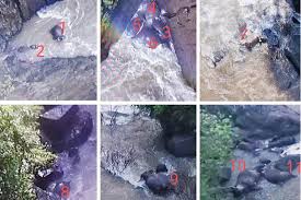 I'll be staying 4days 3 nights. Drone Spots 5 More Dead Elephants At Khao Yai Waterfall