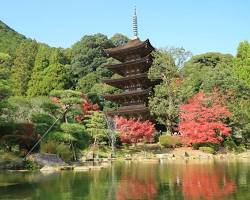 山口県 瑠璃光寺五重塔の画像