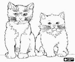 Male kotki w kategorii koty ze schronisk. Kolorowanki Koty Malowanki