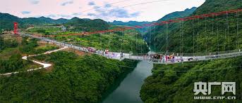 認證圖案： type the letters in the above image: 2020 7æœˆ