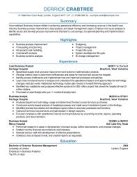 8 Professional Senior Manager Executive Resume Samples Livecareer