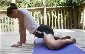 Pin On Exercise