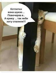 На моём канале вы сможете посмотреть прикольные видео с животными и прикольны. Prikoly I Zhivotnye Facebook