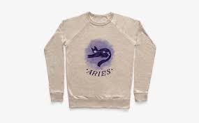 Download icons for free in png of up to 100x100 px. Aries Pullover Transparent Aesthetic Shirt Png Transparent Png 484x484 Free Download On Nicepng