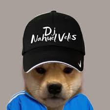 Chismes Zona Sur (@Chismesznsur)