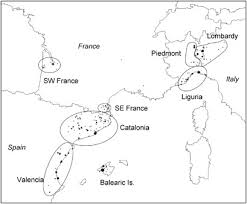 Sounds can only be searched in names that have been assigned pronunciations * is a wildcard that will match zero or more letters in the pronunciation example: Surname And Y Chromosome In Southern Europe A Case Study With Colom Colombo European Journal Of Human Genetics