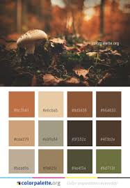 Mushroom Fungus Sunlight Color Palette Colors Inspiration Graphics Design Inspiration Beauti House Color Schemes Warm Color Schemes Rustic Color Palettes