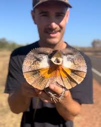 Lachlan Wallace (@lachlan.wallace) · Instagram 照片和视频