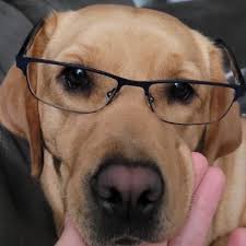 Jeff Kneeshaw (@kneesh33)