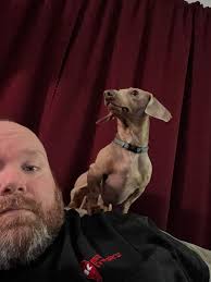 Wiener dog brings home dead animal