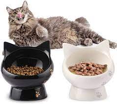 Amazon Com Cat Bowl Raised Cat Food Bowls Anti Vomiting Tilted Elevated Cat Bowl Ceramic Pet Food Bowl For Flat Faced Ca Cat Food Bowl Food Bowl Cat Bowls