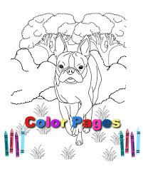They're great for all ages. Boston Terrier Coloring Pages Free Printable Color Pages Boston Terrier Society