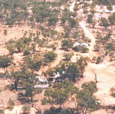 Image result for Lipocarpha atra