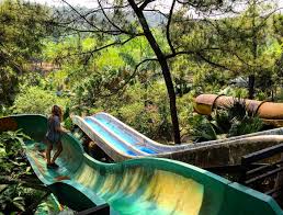 We did not find results for: These Pics From An Abandoned Water Park In Vietnam Are Somehow Gorgeous And Creepy At The Same Time Hellogiggles