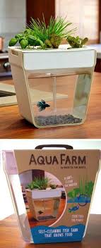 Aquafarm Aqua Farm Self Cleaning Fish Tank Dorm Decorations