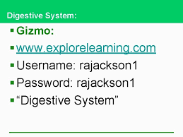 We did not find results for: Dgizmo Galbladder Cholecystitis Case Study Gallbladder Bile
