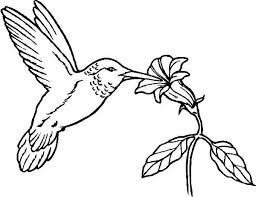Hummingbirds are among the smallest birds in the world. Flowers Provide Nectar For Hummingbird To Eat On Hummingbird Coloring Page Kids Play Color