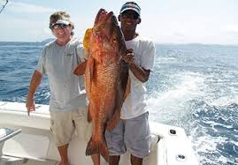 Costa Rica Sportfishing Tours Charters Costa Rica