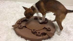 Maybe you would like to learn more about one of these? Dog Worker Composite Nina Ottosson New Youtube