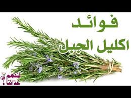 لــنـفـهــم غــذائــنـــا youtube herbs food dill