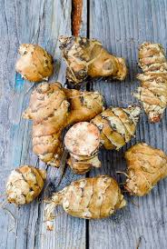Jerusalem artichoke stems are straight, pubescent, reaching a height of 0.5 to 4 meters. Creamy Ginger Scalloped Sunchokes Jerusalem Artichokes Recipe