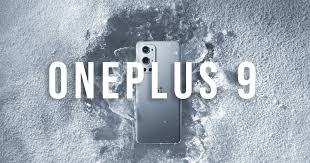 Body of water wallpaper, multiple display, dual monitors, plant. Everything We Already Know About The Oneplus 9 Smartphone Range Aroged