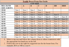 Trulife Traditional E Supreme 344 Symmetrical Silicone Breast Prosthesis Average To Full Profile