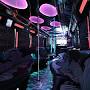 Best Party Bus in Houston from m.yelp.com