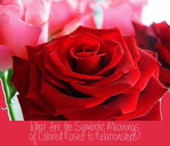 Romantic messages to send with flowers. What Do Flower Colors Mean In Relationships Pairedlife