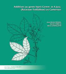 Image result for Vepris renieri