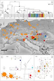 ← retour à la page principale. Successful Post Glacial Colonization Of Europe By Single Lineage Of Freshwater Amphipod From Its Pannonian Plio Pleistocene Diversification Hotspot Scientific Reports