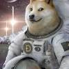 By default, the dogecoin price is provided in usd, but you can easily switch the base currency to euro, british. Https Encrypted Tbn0 Gstatic Com Images Q Tbn And9gctzzoc Ul6twfbudqxe0tpciopmtiat Rst9woo Lqjvpo5frhq Usqp Cau