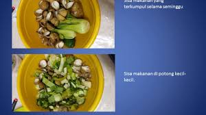 Penebaran benih cara budidaya bandeng organik agar cepat besar pada umumnya, benih botol plastik cara membuat aquarium ikan cupang dari barang bekas. Penghasilan Baja Kompos Dari Sisa Makanan Youtube