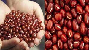 Manfaat kacang merah tidak hanya berkhasiat untuk kesehatan saja tetapi juga untuk kecantikan. Manfaat Kacang Merah Untuk Kesehatan Dan Kecantikan Tubuh